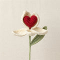 Secret Heart Tulip